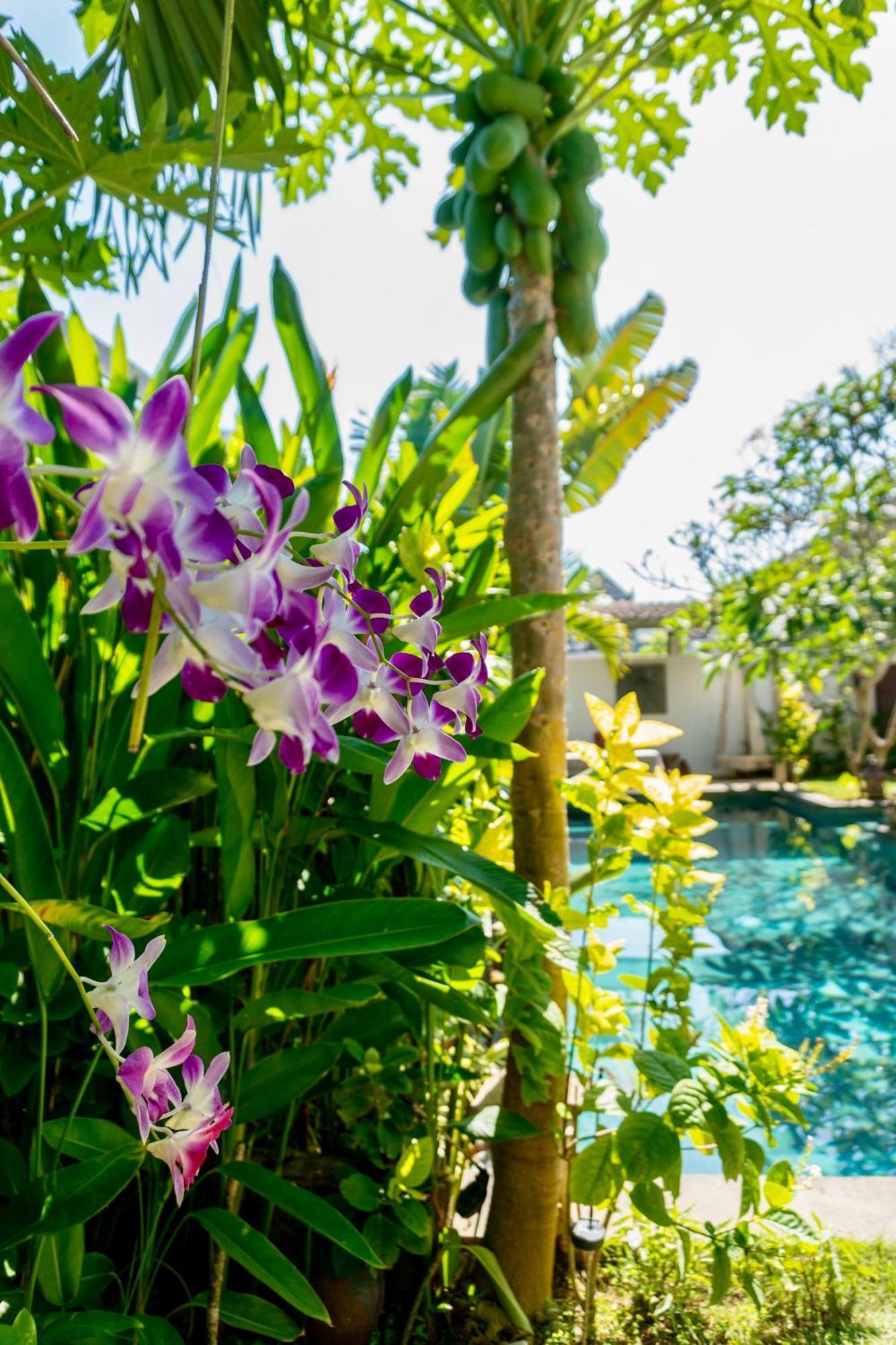 Damai Uluwatu Otel Dış mekan fotoğraf